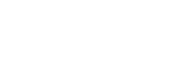SSAEE